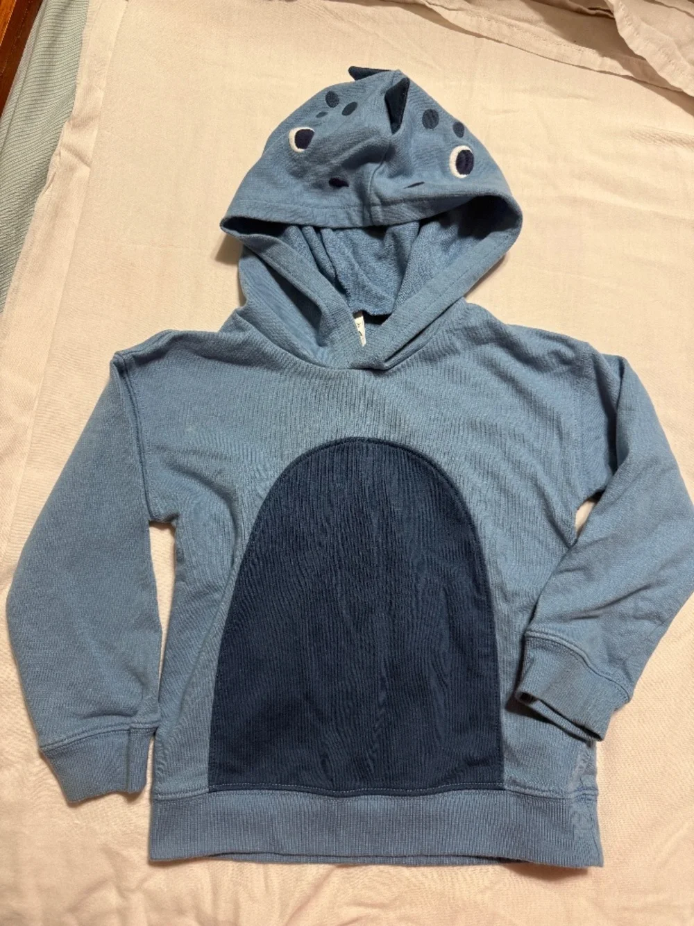 Dinosaur Hooded Sweatshirt